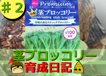 Thumbnail of post image 136